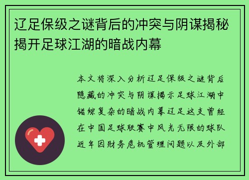 辽足保级之谜背后的冲突与阴谋揭秘揭开足球江湖的暗战内幕