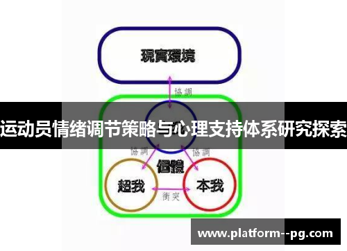 运动员情绪调节策略与心理支持体系研究探索 运动员情绪调节策略与心理支持体系研究探索